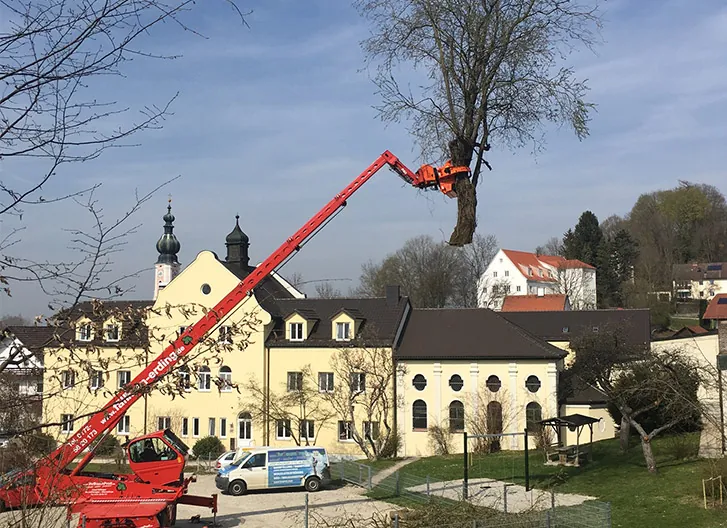 Roter Kran mit Arbeitskorb in der Krone eines Baums neben einem Schlossgebäude