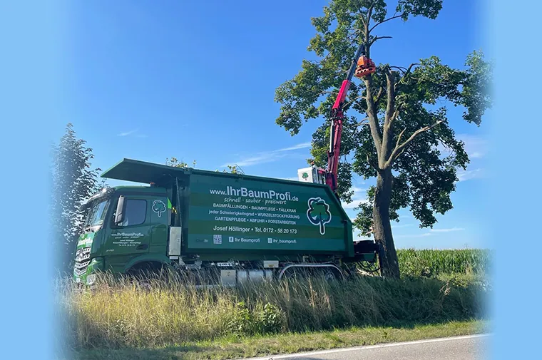 Grüner Lkw mit Ladekran neben einem Baum an einer Landstraße