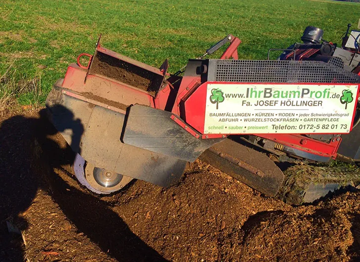 Rote Wurzelstockfräse arbeitet einen Baumstumpf in einer Wiese ab