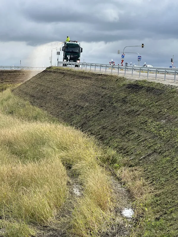 Dicht bewachsene Böschung an einer Straßenbrücke, Monate nach der Ansaat